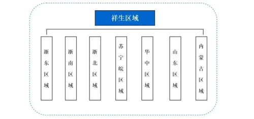 2021年至今，10家头部房企“动刀”组织架构，模式与路径一览