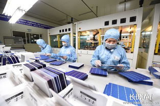 晶龙集团企业网群接待业务的多维实践与优化路径