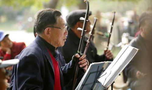 世卫组织公布老年人标准年龄 到了年纪别不服老