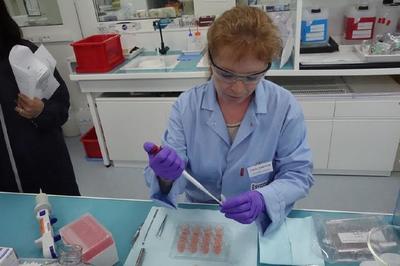 科技与美的碰撞 记者探访欧莱雅研发中心与工厂，揭秘圣罗兰美妆与人造皮肤创新